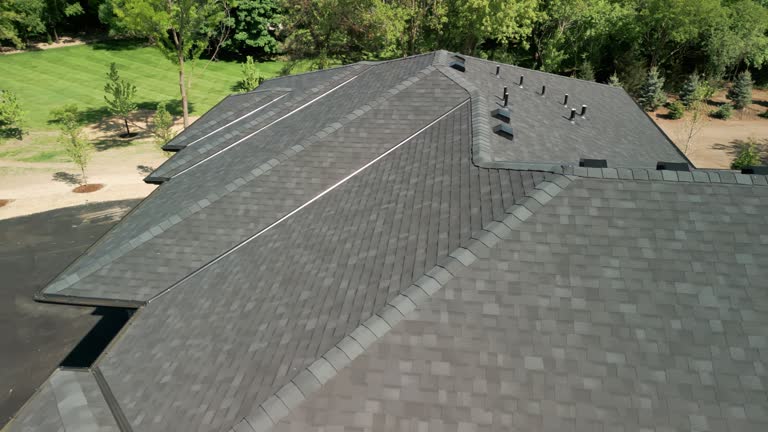 Professional Roofing Service in Delaware City, DE