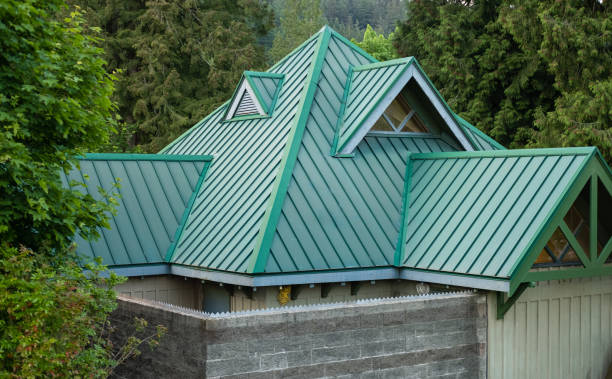 Best Roof Maintenance and Cleaning  in Laware City, DE